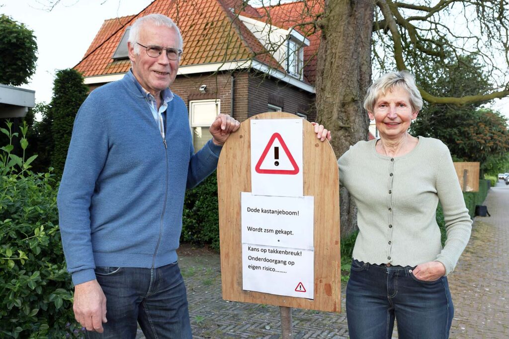 Kastanjeboom Moet Wijken 001 Klein