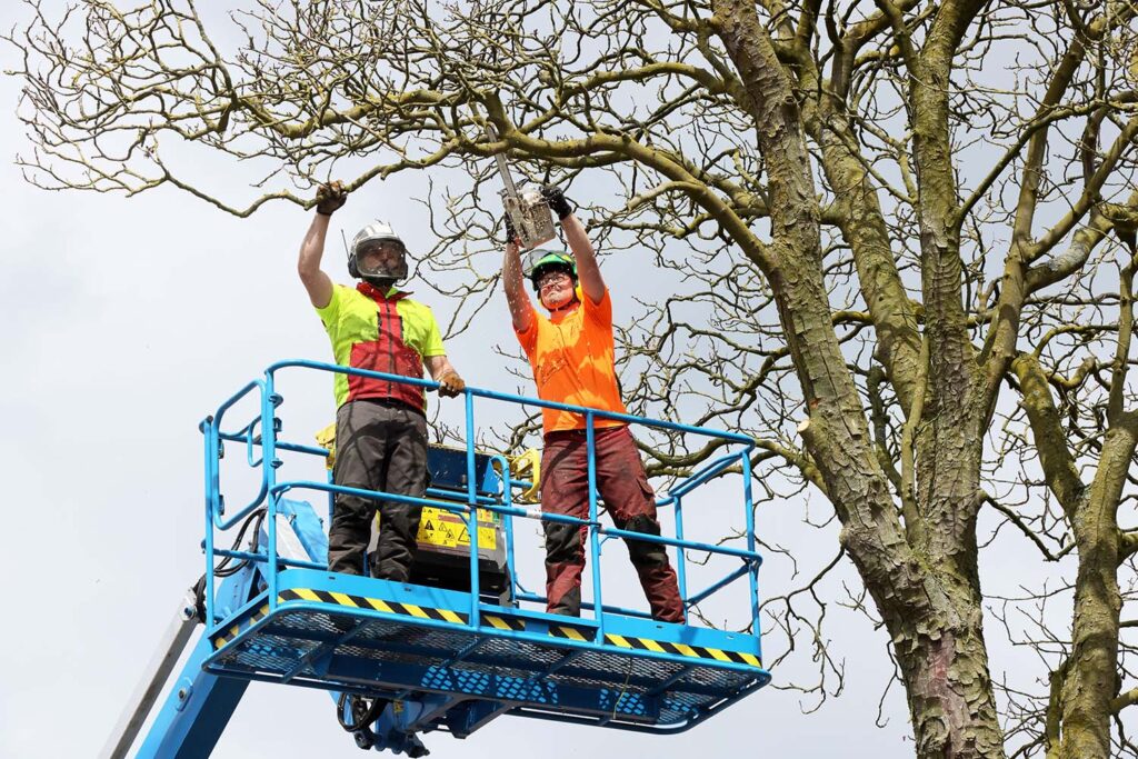 Kastanjeboom Moet Wijken 020 Klein