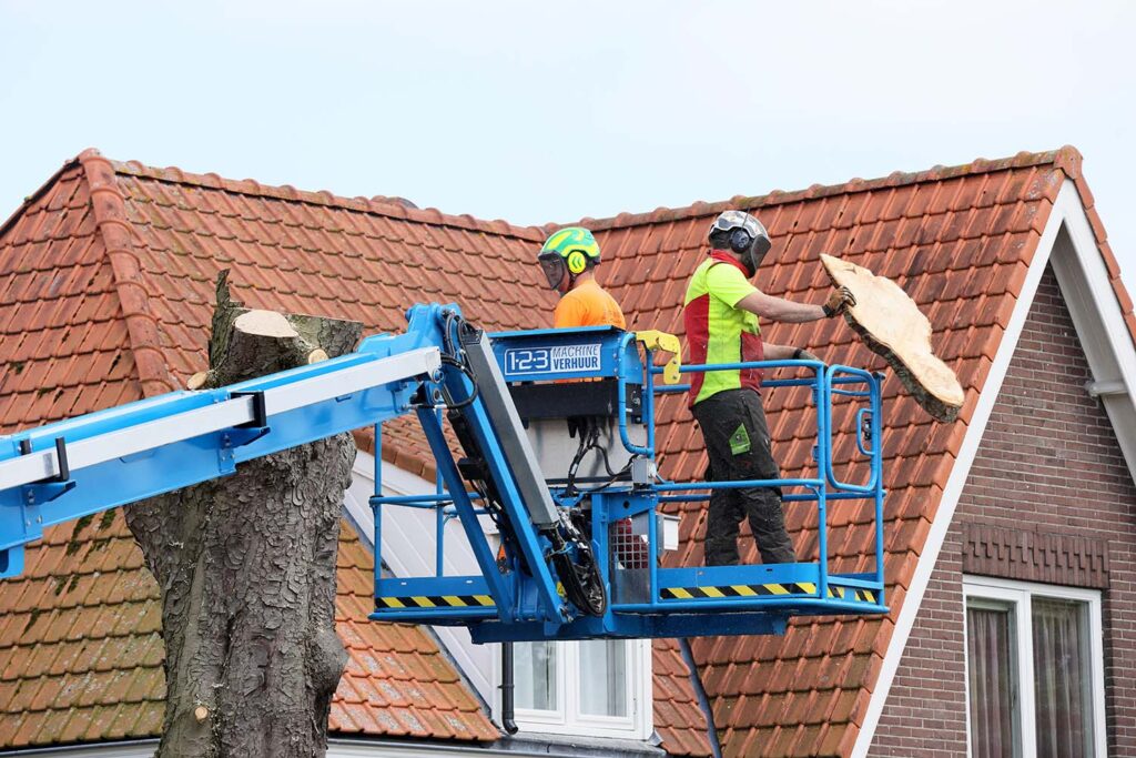 Kastanjeboom Moet Wijken 061 Klein