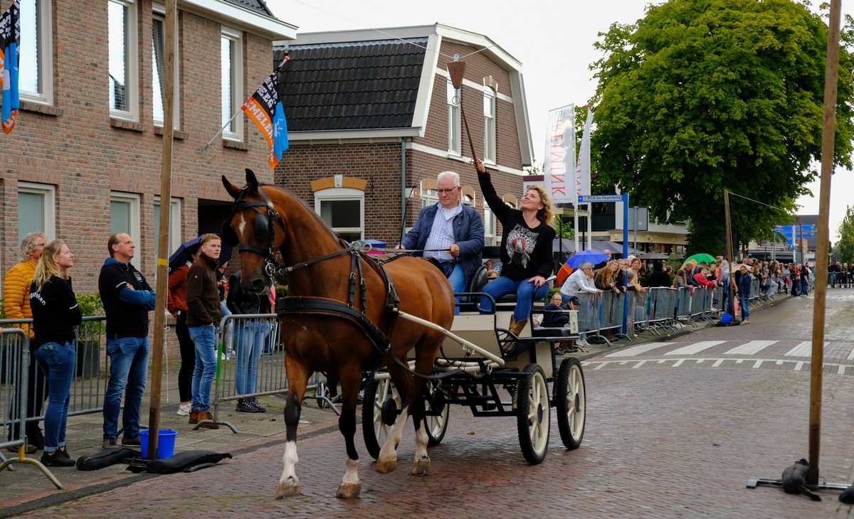 Ringstekenhennie 14
