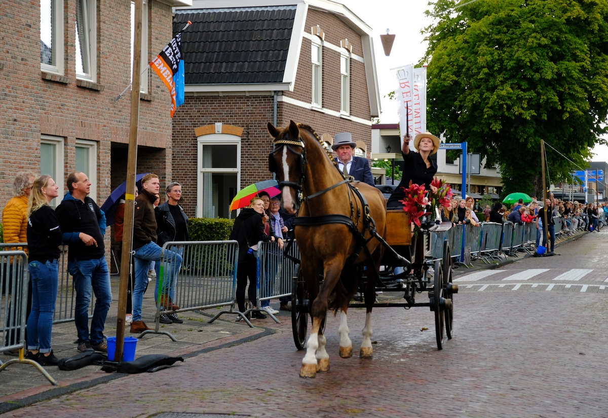 Ringstekenhennie 15