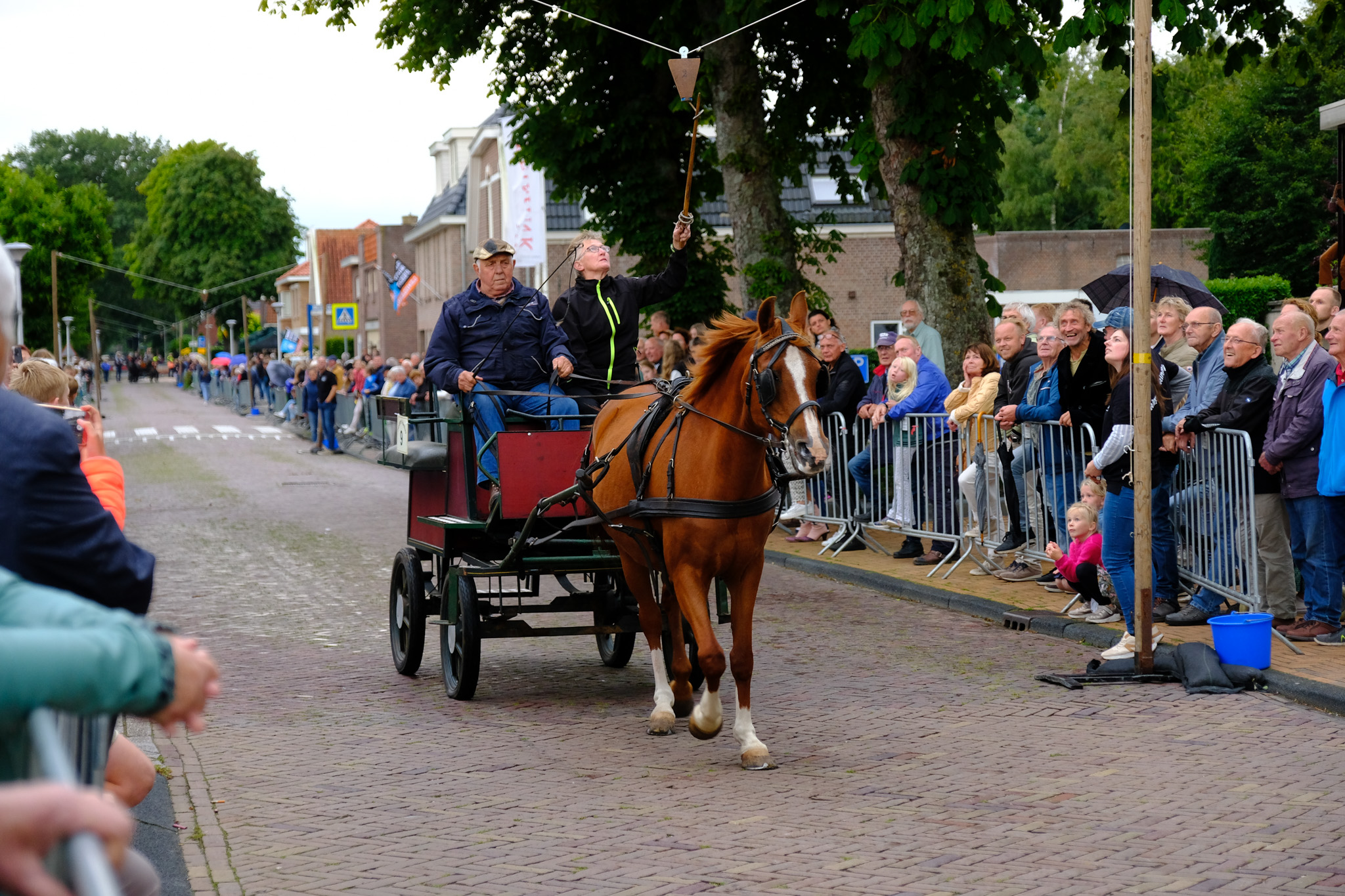 Ringstekenlien 18