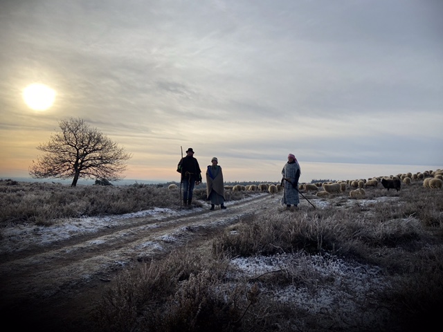 ACON Kerstwandeling 14