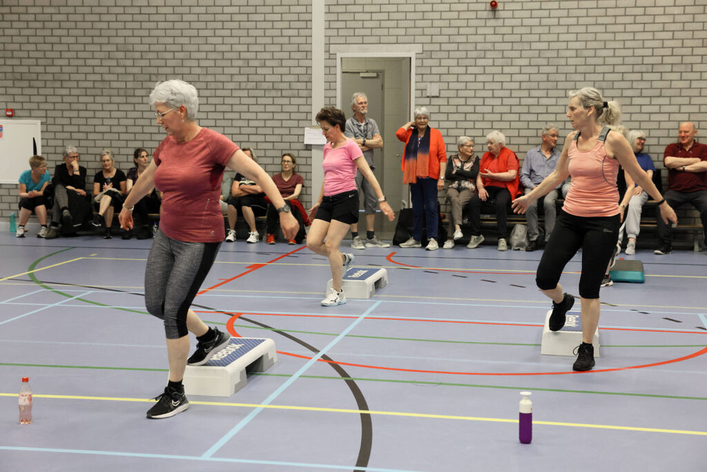 Lemelerveld Beweegt En Ontmoet (30)