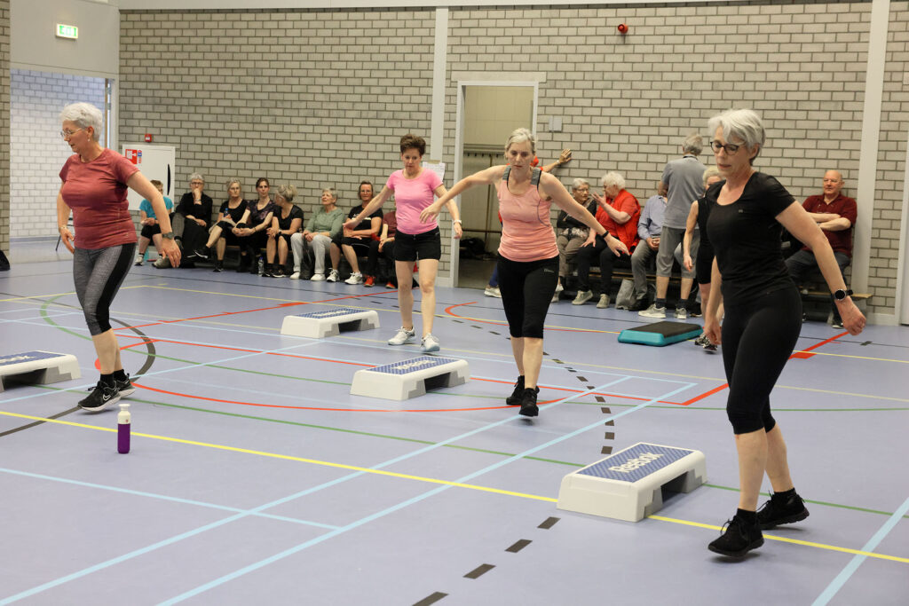 Lemelerveld Beweegt En Ontmoet (31)