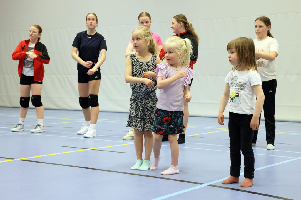 Lemelerveld Beweegt En Ontmoet (46)