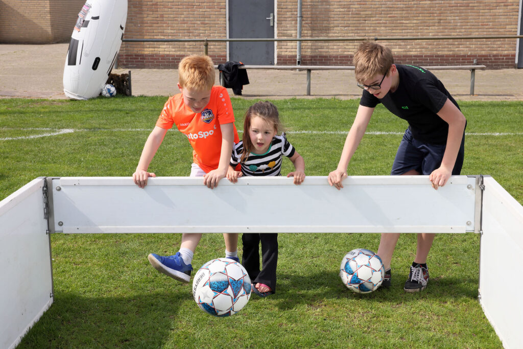 Lemelerveld Beweegt En Ontmoet (57)