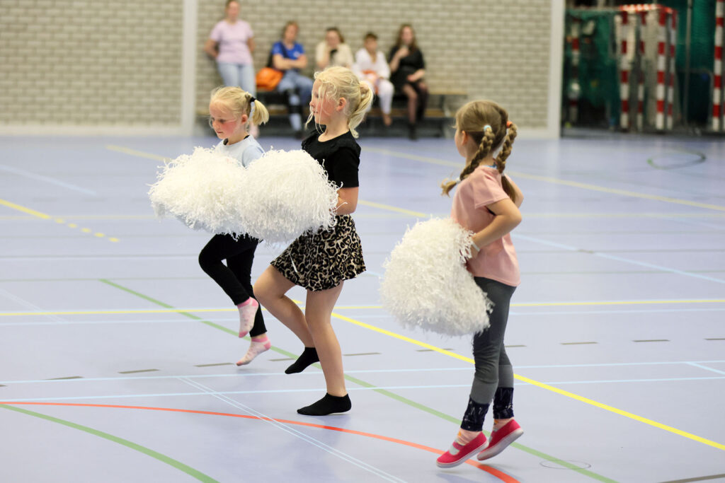 Lemelerveld Beweegt En Ontmoet (65)