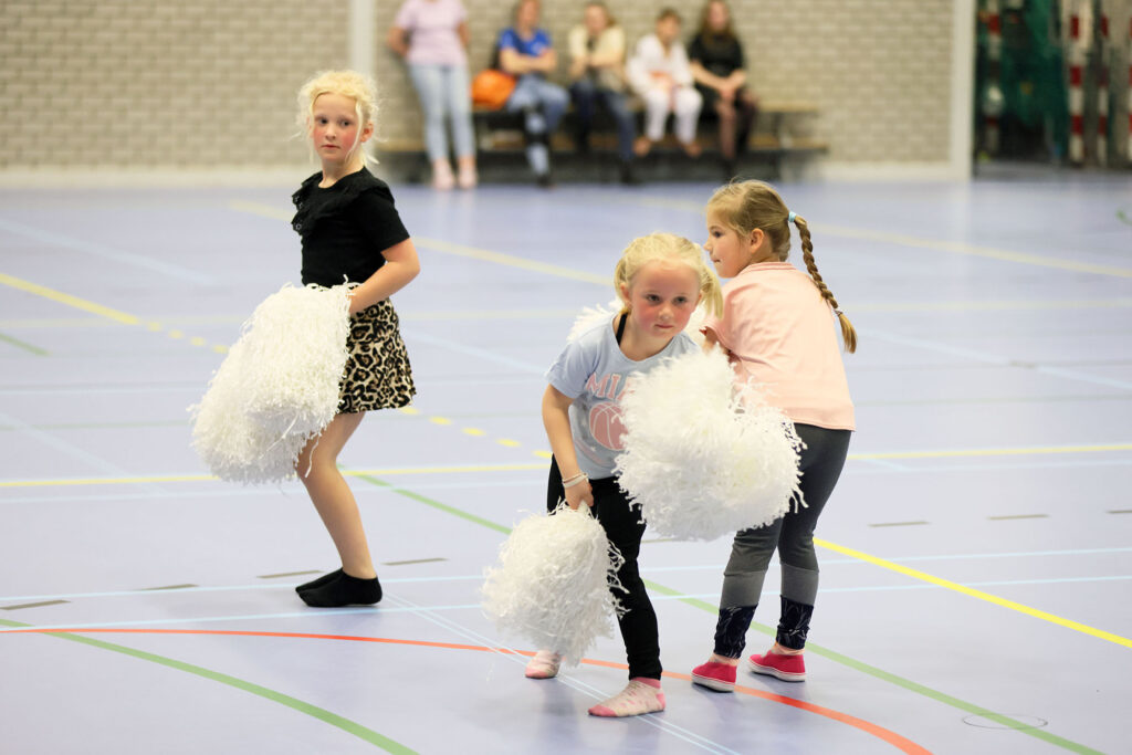 Lemelerveld Beweegt En Ontmoet (66)