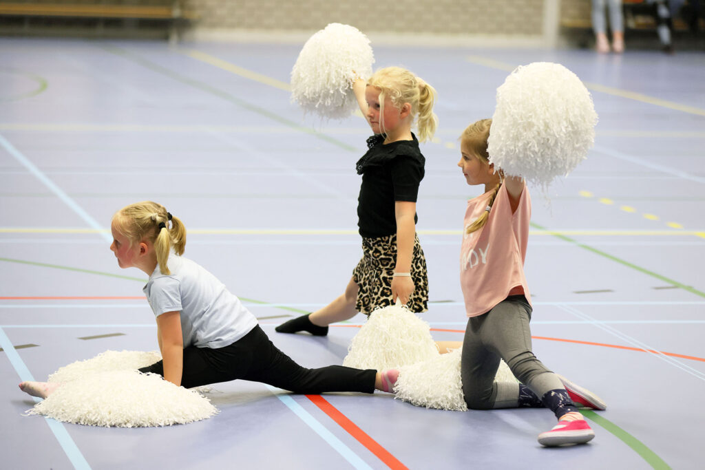 Lemelerveld Beweegt En Ontmoet (67)