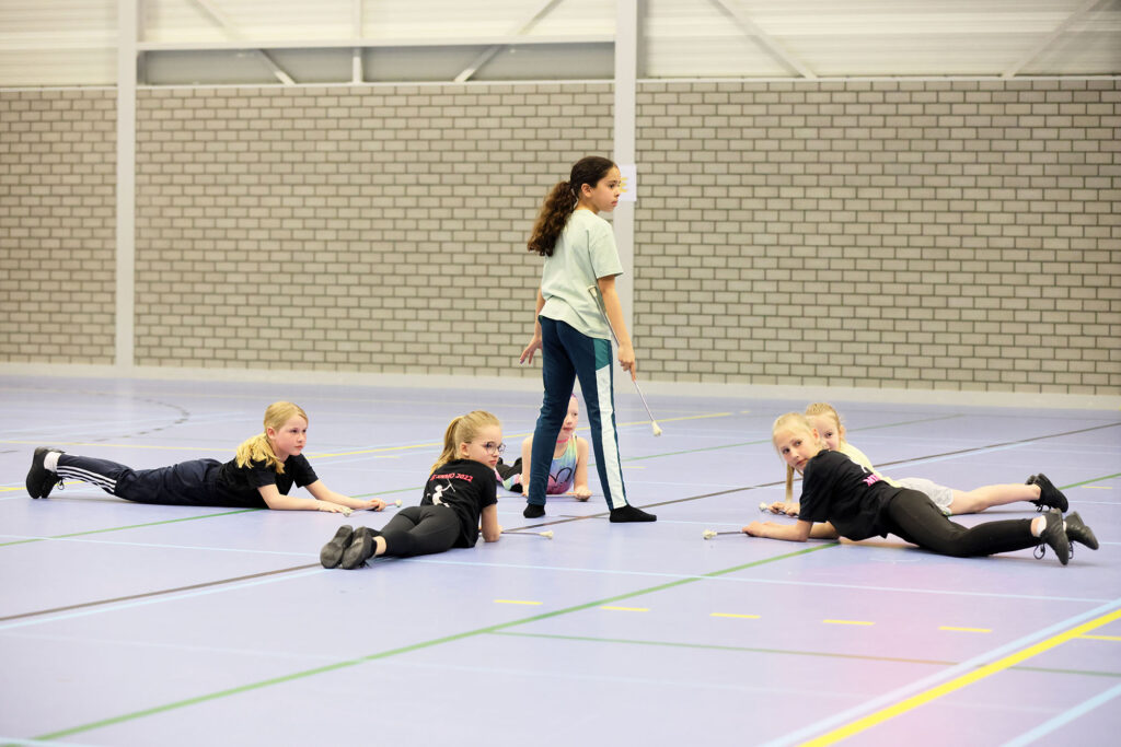 Lemelerveld Beweegt En Ontmoet (74)