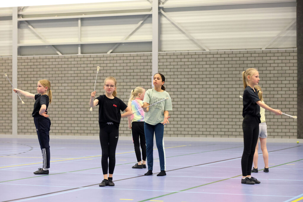 Lemelerveld Beweegt En Ontmoet (75)