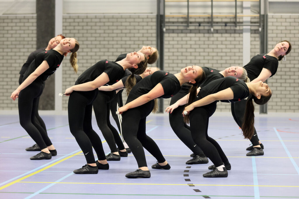 Lemelerveld Beweegt En Ontmoet (79)