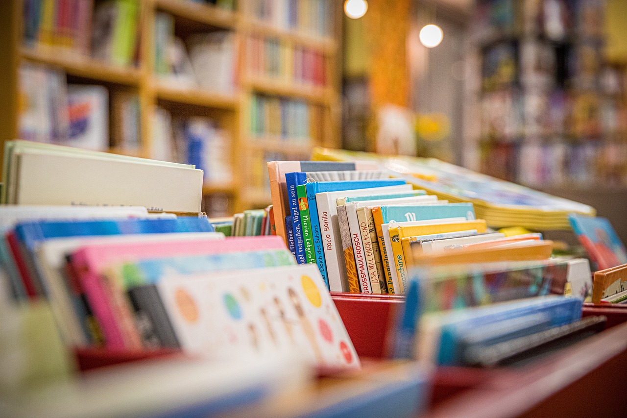 Boekenverkoop Bibliotheek Lemelerveld