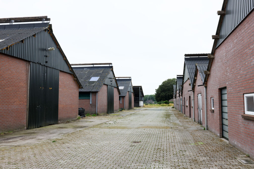 Kennismaking Frion (17)