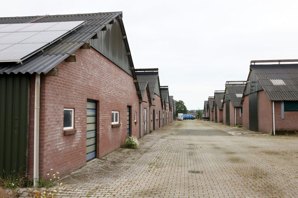 Kennismaking Frion (18)