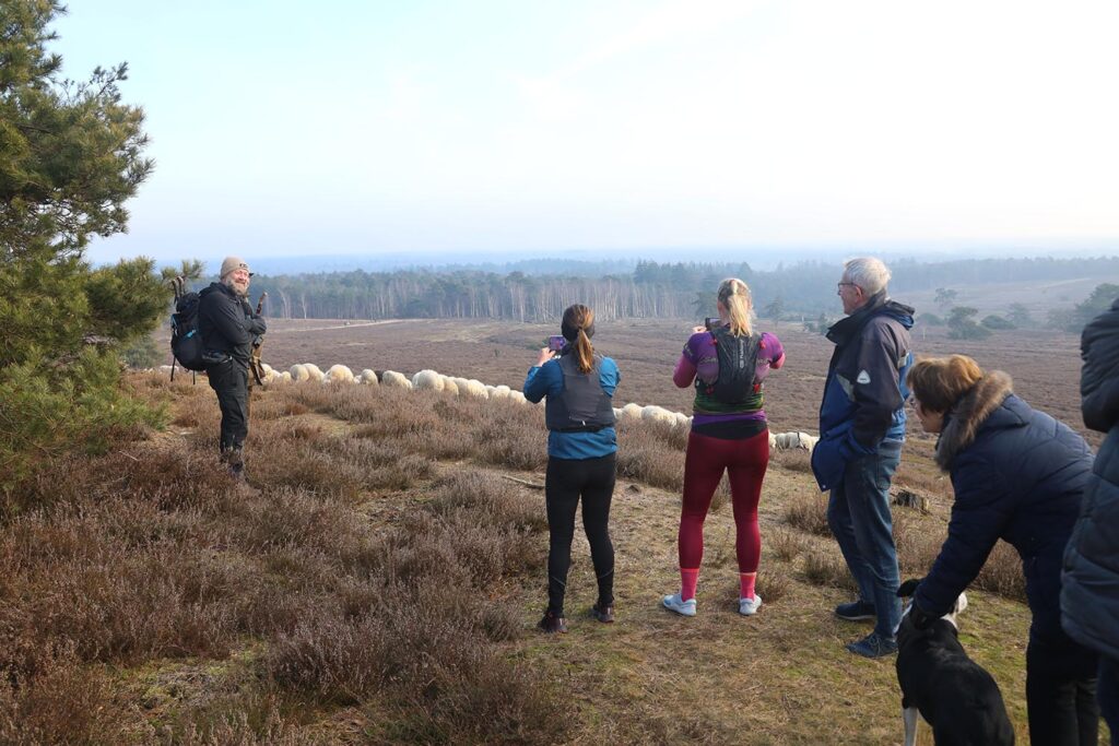 Ramaker Bouw Sukerbiet Trailrun 2025 (10)