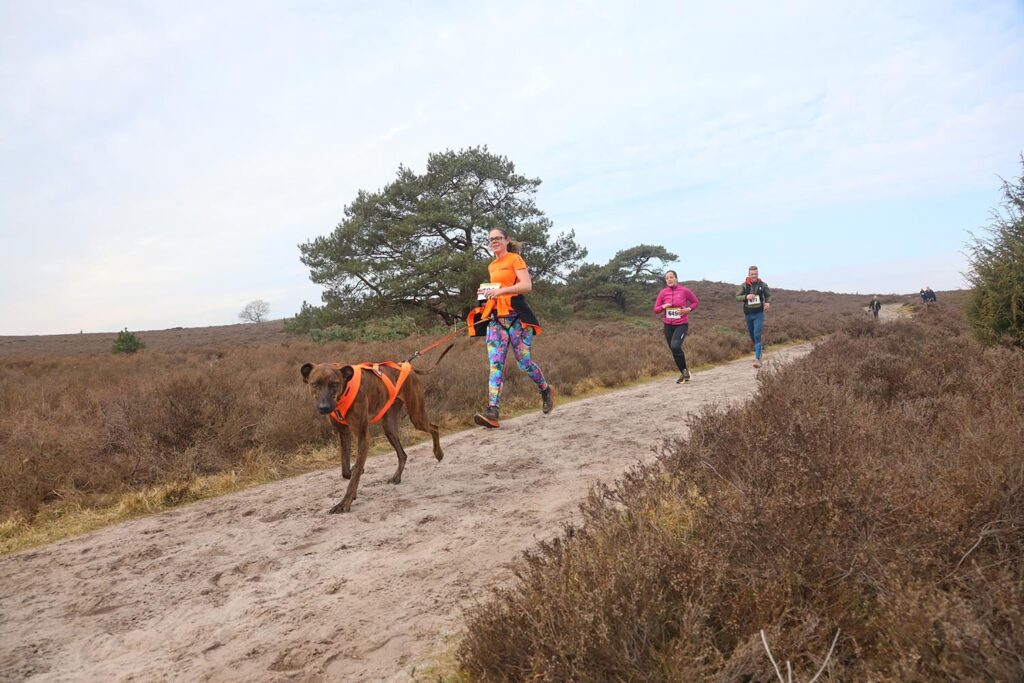 Ramaker Bouw Sukerbiet Trailrun 2025 (16)