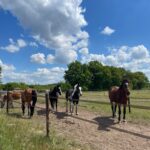 Open huis bij `t Olde Manegepeerd