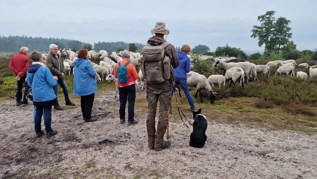 Dauwtrappen Met De Raad Van Kerken (1)