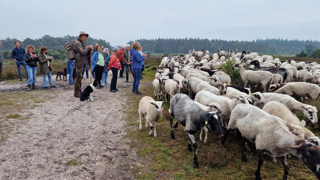 Dauwtrappen Met De Raad Van Kerken (3)