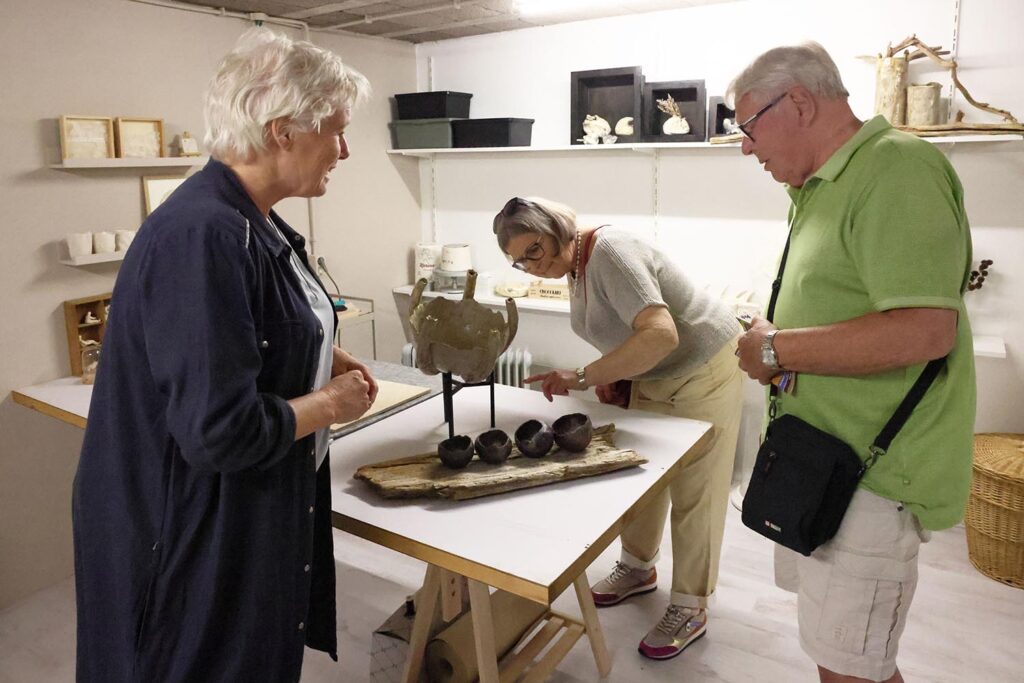Kunstweekend Lemelerveld (13)