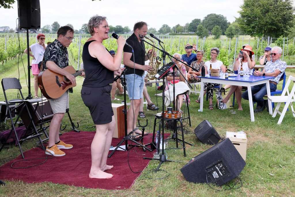 Muziek In De Tuin Lemelerveld Foto Hans Heerink 2025 (22)