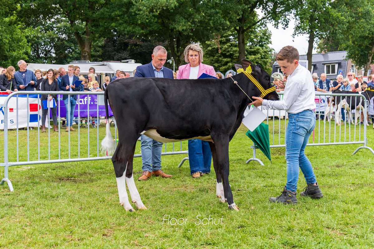 Veeteeltclub Ommen 261
