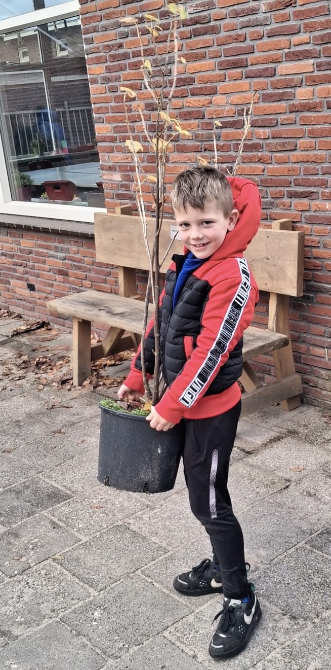 Regenboog houdt Boomfeestdag