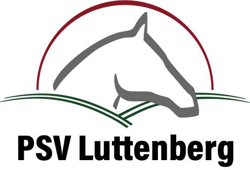 Nieuwe autopuzzelroute door Salland&Twente – nu te bestellen!