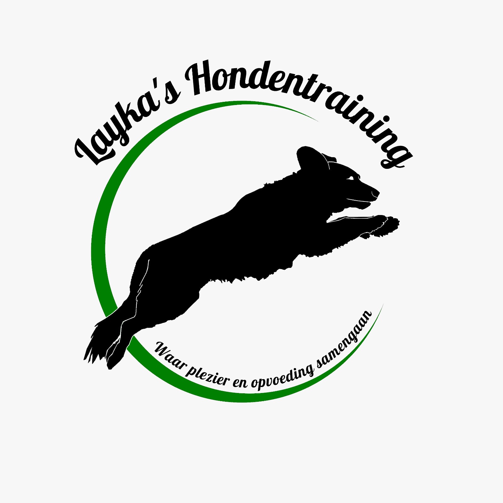 Nieuwe hondenschool in lemelerveld/lemele