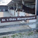 Bezoekersmiddag bij `t Olde Manegepeerd