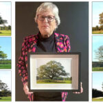 Foto: Annet Schoorlemmer – Mooiste boom van Salland