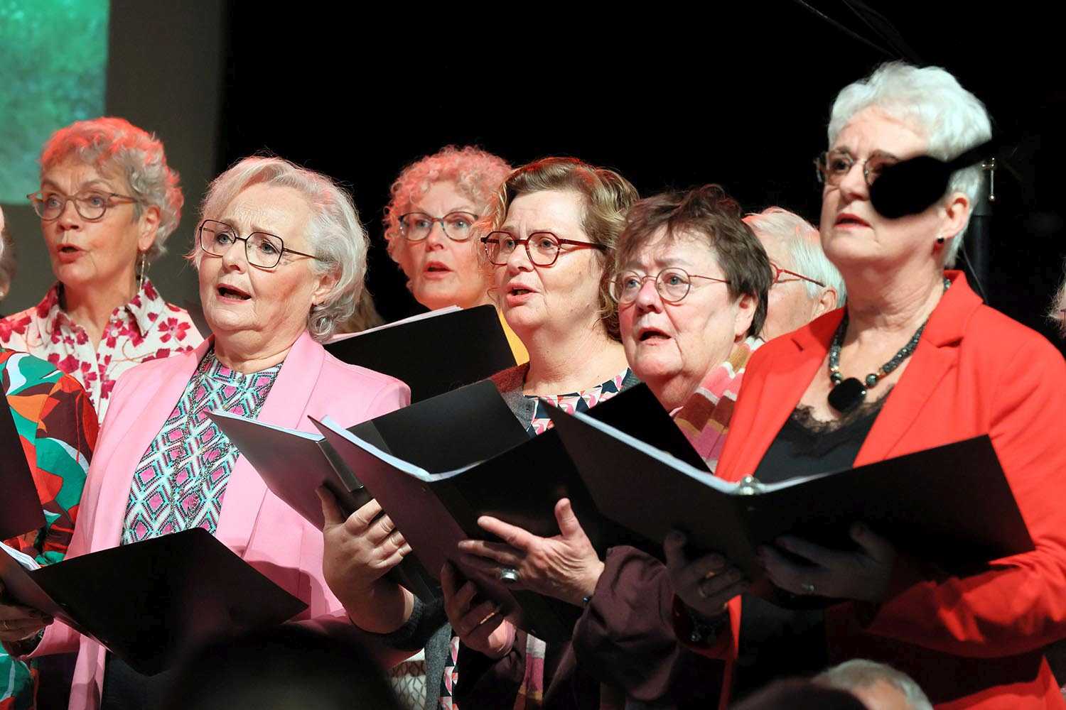 Operetteklanken Spoom 012