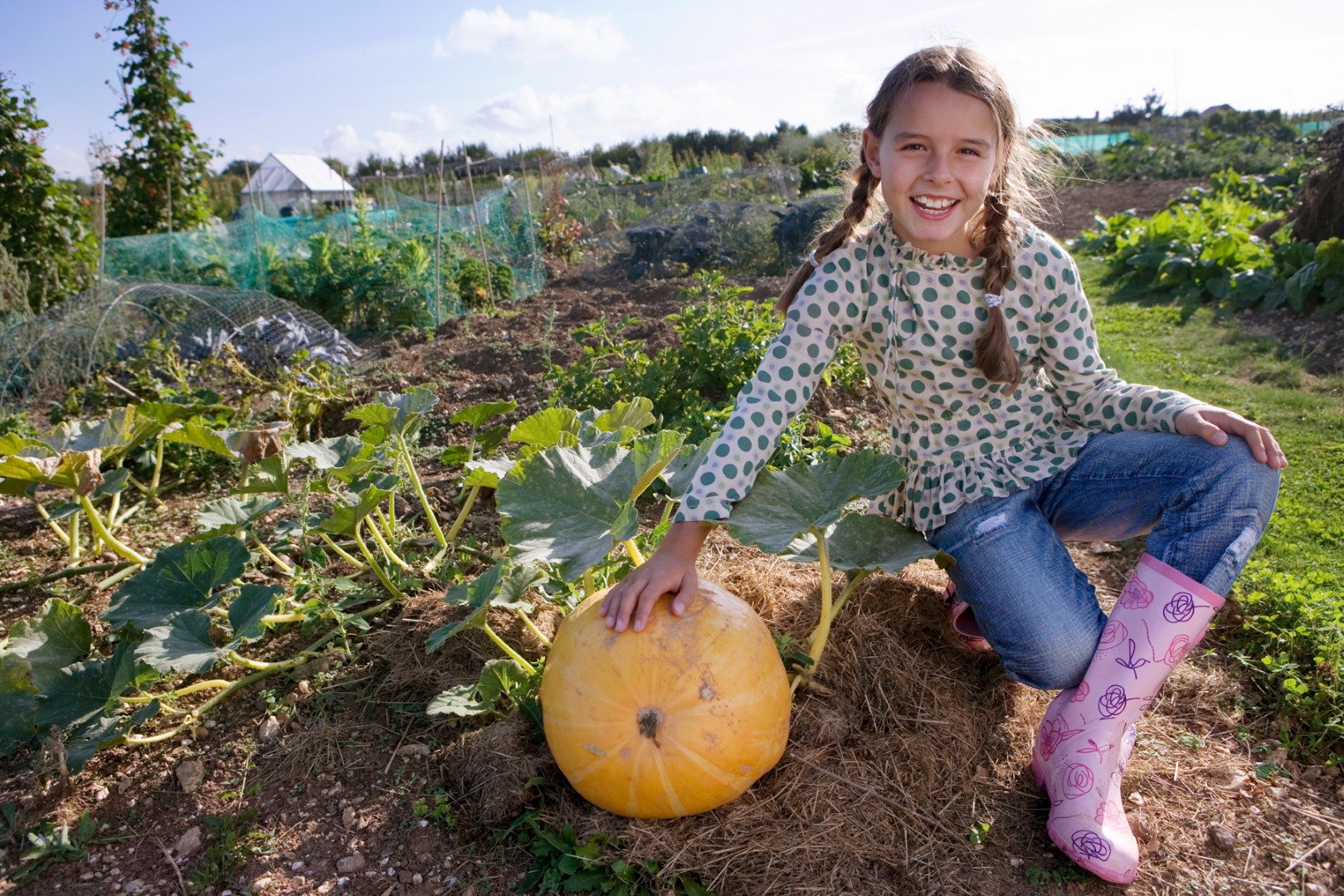 Gratis moestuinzaden bestellen voor in de schoolmoestuin