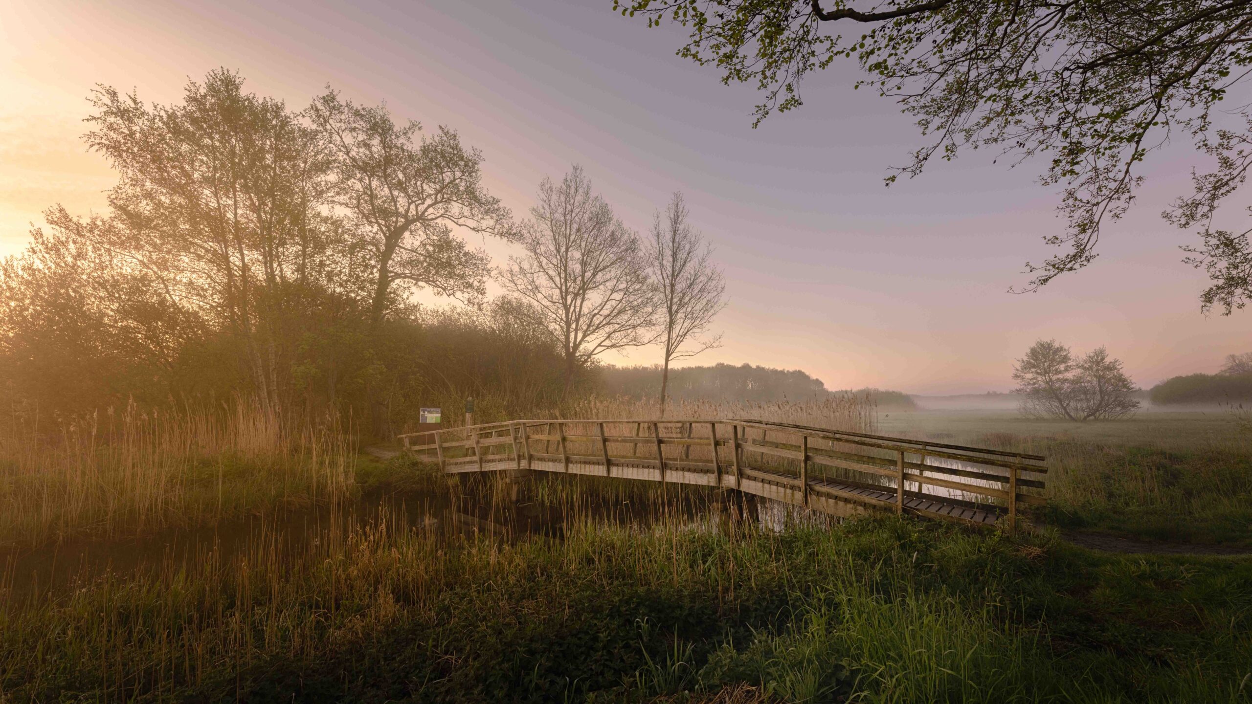 Maak jij de meest verrassende foto van Overijssel?
