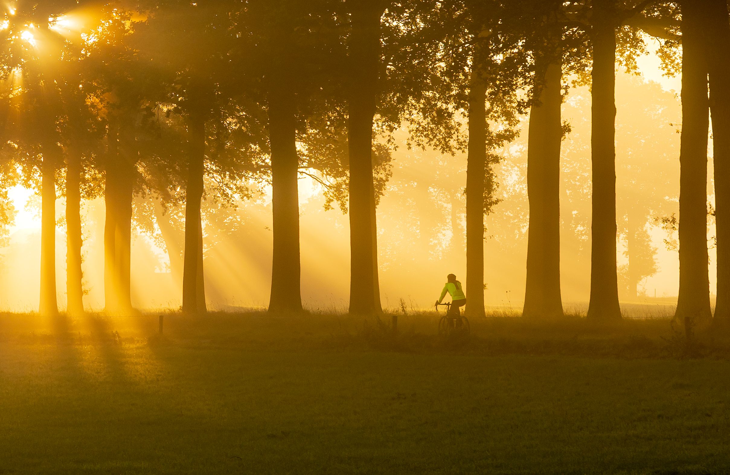 Fiets en Foto (expositie fotoclub Dalfsen)