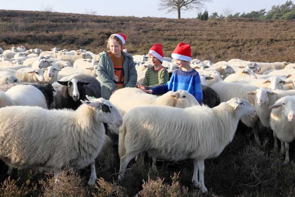 Kerstwandeling Foto Hans Heerink (21)