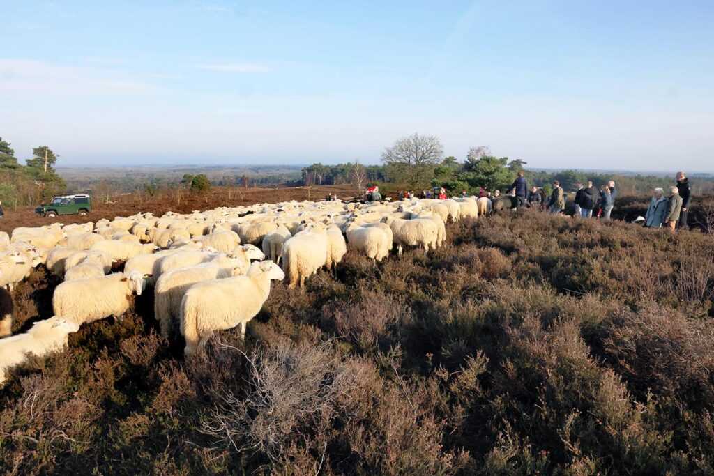 Kerstwandeling Foto Hans Heerink (22)