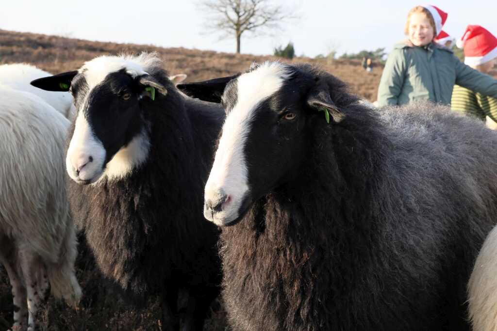 Kerstwandeling Foto Hans Heerink (26)