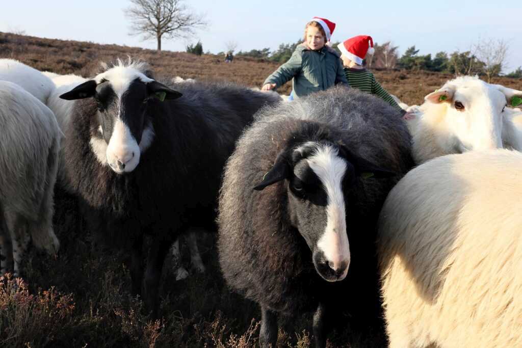 Kerstwandeling Foto Hans Heerink (27)