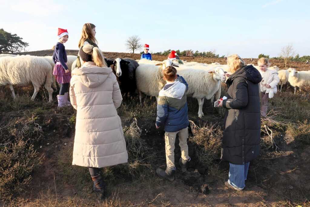 Kerstwandeling Foto Hans Heerink (28)