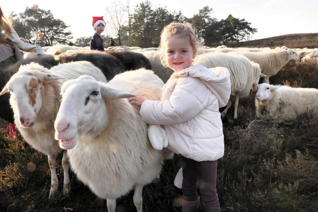 Kerstwandeling Foto Hans Heerink (30)