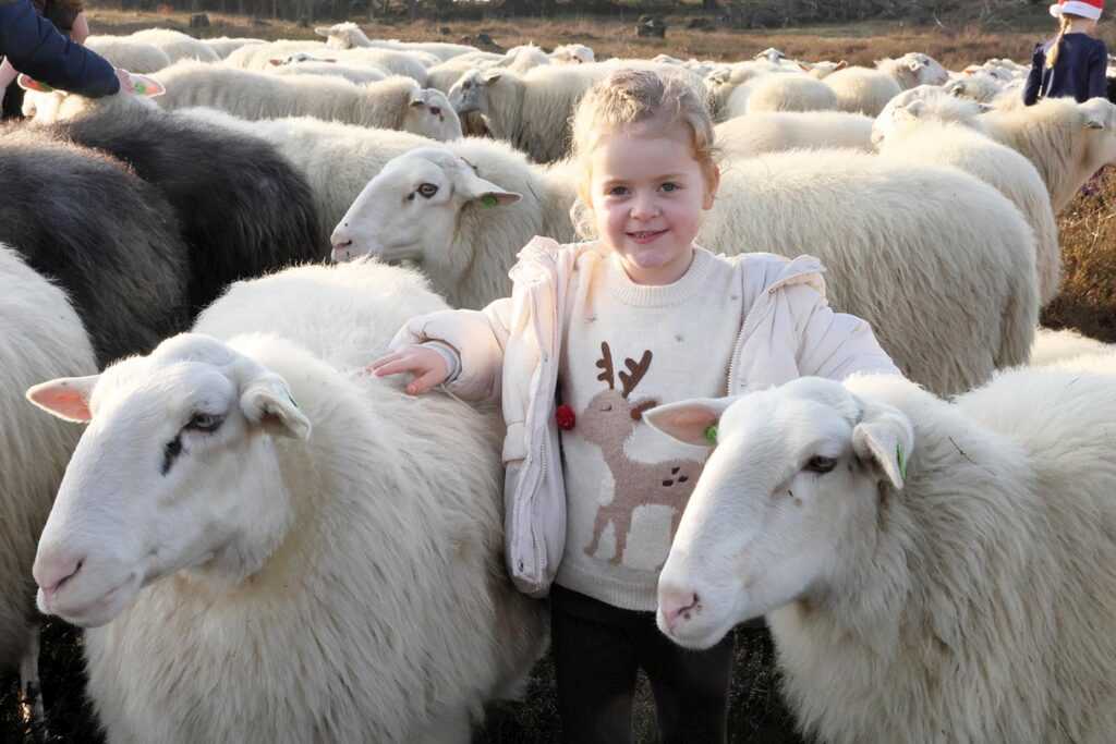 Kerstwandeling Foto Hans Heerink (32)