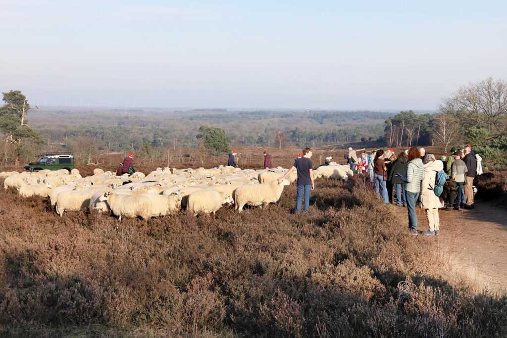 Kerstwandeling Foto Hans Heerink (35)