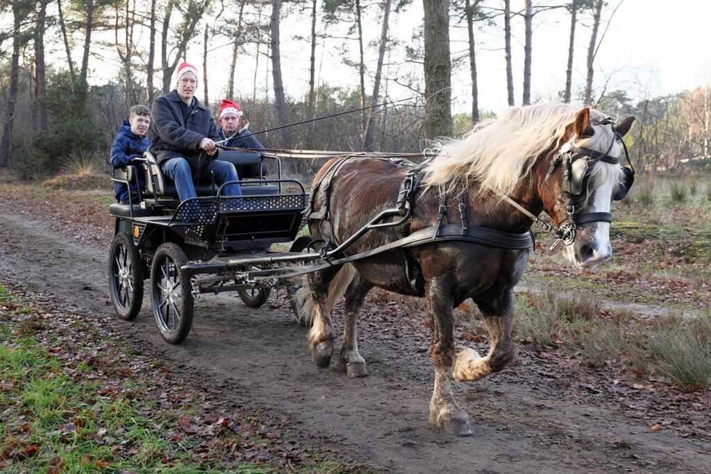 Kerstwandeling Foto Hans Heerink (53)