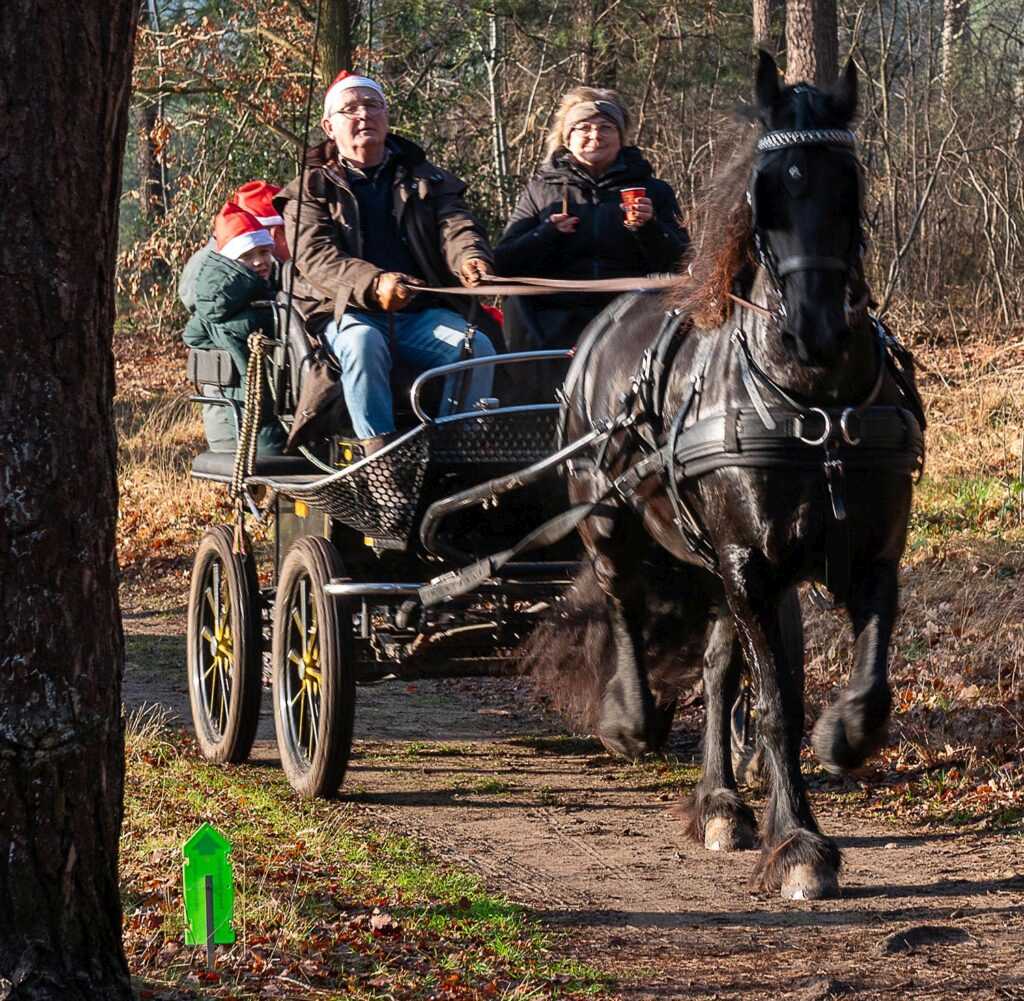 Kerstwandeling Foto Team Sukerbiet (4)