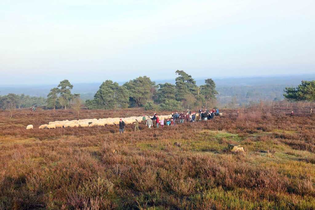 Kerstwandeling Foto Team Sukerbiet (8)