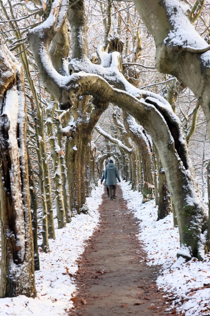 Filipino Snertwandeltocht 2026 (34)