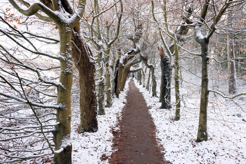 Filipino Snertwandeltocht 2026 (36)